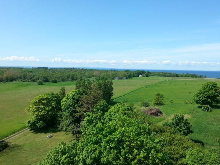 View fra fyrtårnet.